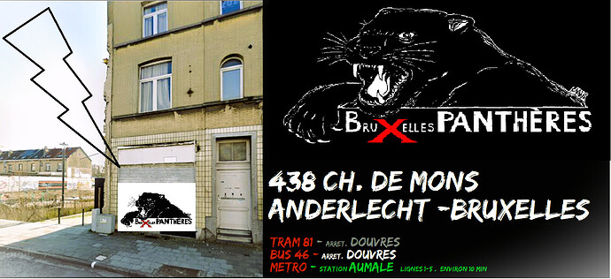 Informations visuelles de localisation : photo de la devanture, adresse et accès par tram, bus et métro. Le logo des Bruxelles Panthères est une panthère noire rugissante, avec Bruxelles PANTHÈRES en blanc sur noir avec un x rouge.