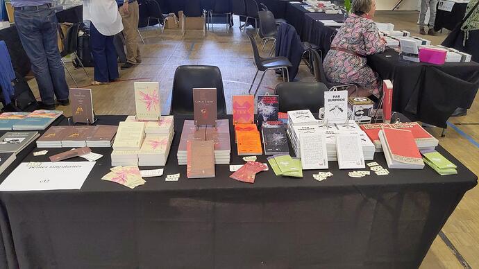 La table C12 des éditions petites singularités au Salon de printemps de l'Autre Livre avec, de gauche à droite : Silenciées (recueil de témoignages des migrants sur les techniques d'enfermement en Belgique) ; Spectralx (essai littéraire et philosophie sur l'inclusivité et les techniques du langage) ; Congo Éteint (recueil de nouvelles sur les techniques minières) ; Présence Solidaire (sur les techniques de soin radical, donc collectif) ; Présents Suspendus (fiction spéculative pour la résistance) ; Par surprise tome 1 et 2 (sur les techniques de la guerre) ; et Déborder Bolloré (sur l'influence du milliardaire d'extrême droite dans le monde du livre notamment)...