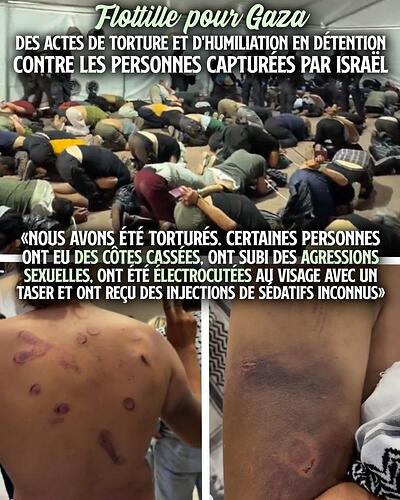 Des positions douloureuses et de nombreuses marques de coups sur les corps : les membres de la flottille pour Gaza ont été torturés par l'État d'Israël.