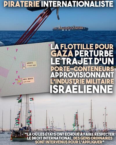 Le MSC Maya, chargé d'acier pour l'armement israélien, détourné par la flottille de la liberté en solidarité avec Gaza.